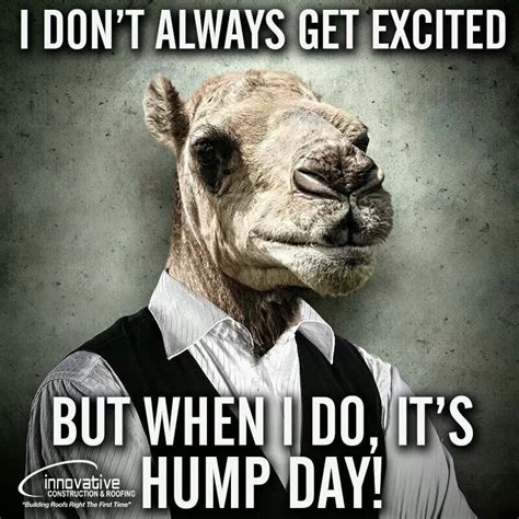 sexy happy hump day meme|The 16 Best Hump Day Memes